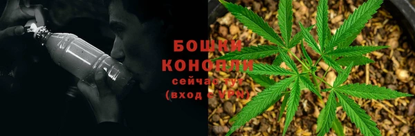 2c-b Горняк