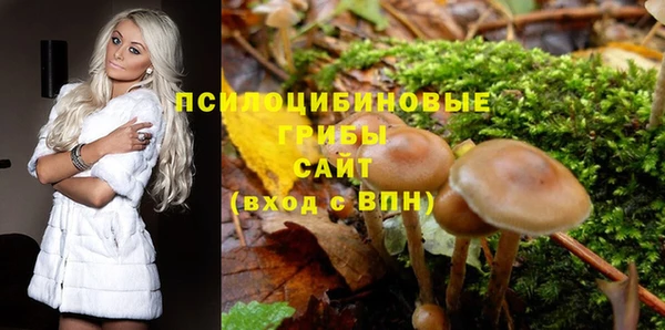 ПСИЛОЦИБИНОВЫЕ ГРИБЫ Горнозаводск