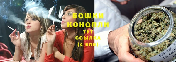 Альфа ПВП Горно-Алтайск