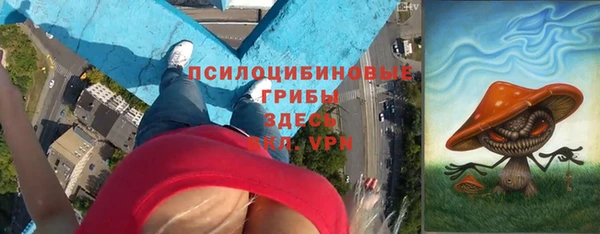 Альфа ПВП Горно-Алтайск