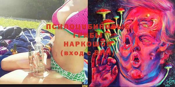 Альфа ПВП Горно-Алтайск
