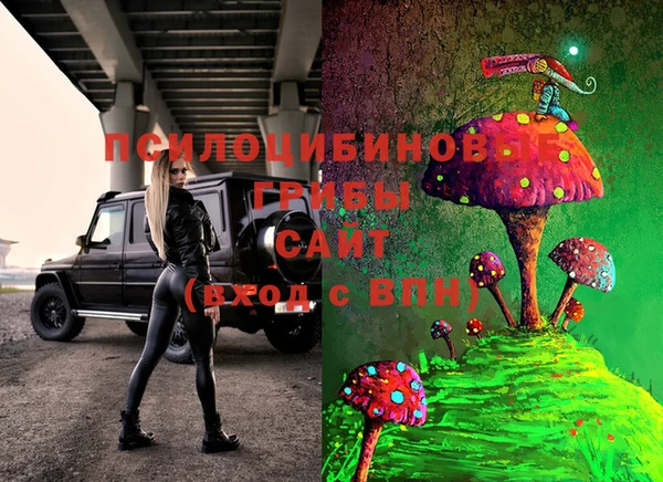 Альфа ПВП Горно-Алтайск