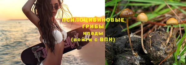 ПСИЛОЦИБИНОВЫЕ ГРИБЫ Горнозаводск
