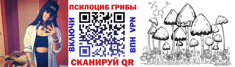 Галлюциногенные грибы прущие грибы  как найти наркотики  Минеральные Воды 