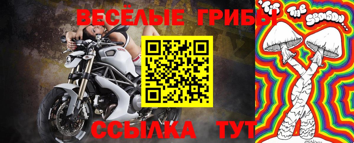 что такое наркотик  Вход с VPN  Минеральные Воды  Псилоцибиновые грибы Psilocybine cubensis  Псилоцибиновые грибы MAGIC MUSHROOMS 